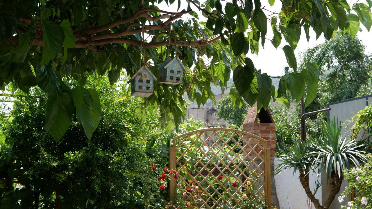 Hotel My Garden Tbilisi Zewnętrze zdjęcie