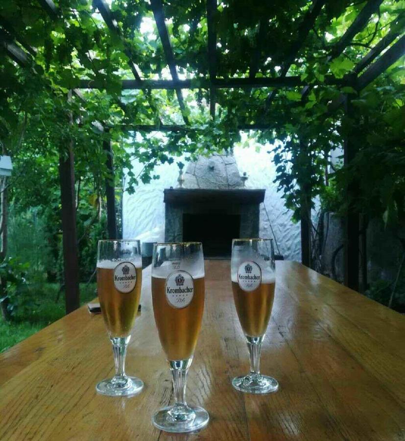 Hotel My Garden Tbilisi Zewnętrze zdjęcie