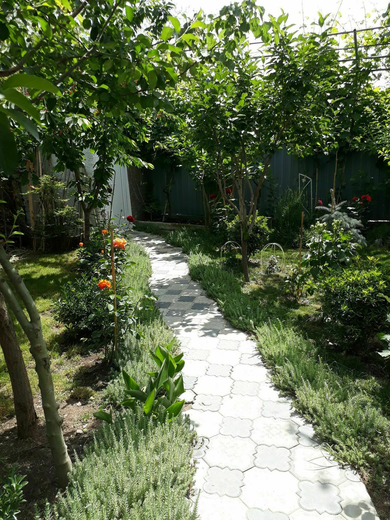 Hotel My Garden Tbilisi Zewnętrze zdjęcie
