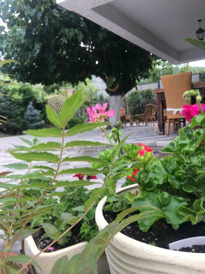 Hotel My Garden Tbilisi Zewnętrze zdjęcie