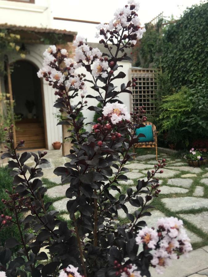 Hotel My Garden Tbilisi Zewnętrze zdjęcie